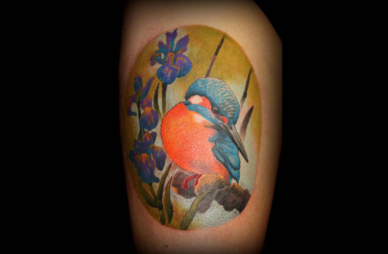 Eisvogel mit Orchideen